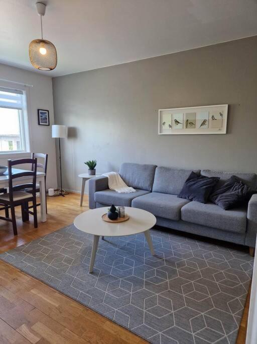 Apartment In Downtown Reykjavik Reykjavík Exterior photo